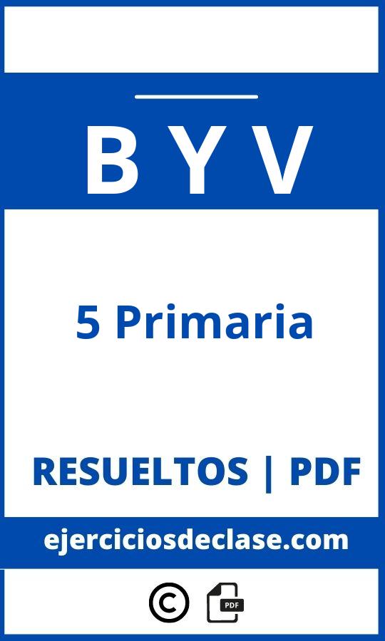Ejercicios B Y V 5O Primaria Pdf