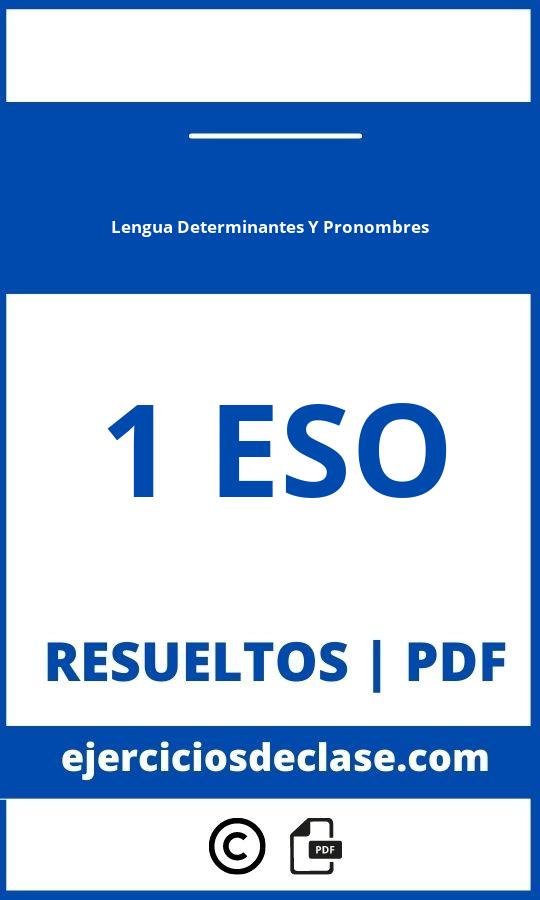 Ejercicios De Lengua 1 Eso Determinantes Y Pronombres Pdf