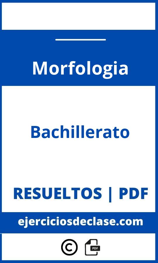 Ejercicios De Morfologia Bachillerato Pdf