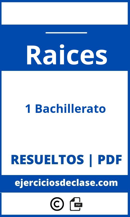 Ejercicios De Raices 1 Bachillerato Pdf