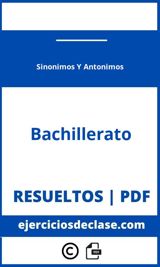Ejercicios De Sinonimos Y Antonimos Bachillerato Pdf