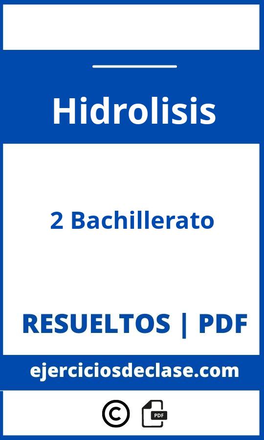 Ejercicios Hidrolisis 2 Bachillerato Pdf