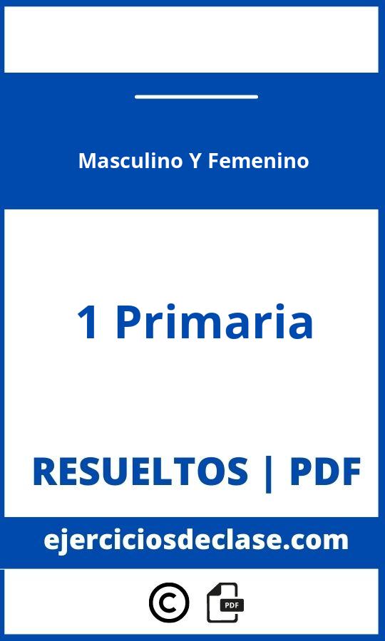 Ejercicios Masculino Y Femenino 1 Primaria Pdf