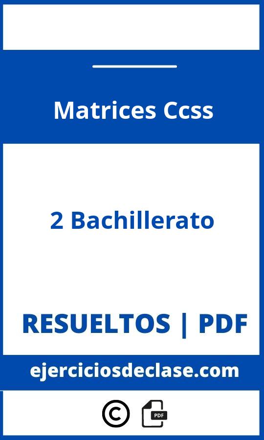 Ejercicios Matrices 2 Bachillerato Ccss Pdf