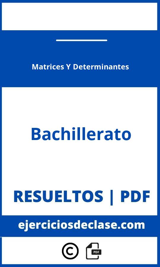 Ejercicios Matrices Y Determinantes Resueltos Pdf Bachillerato