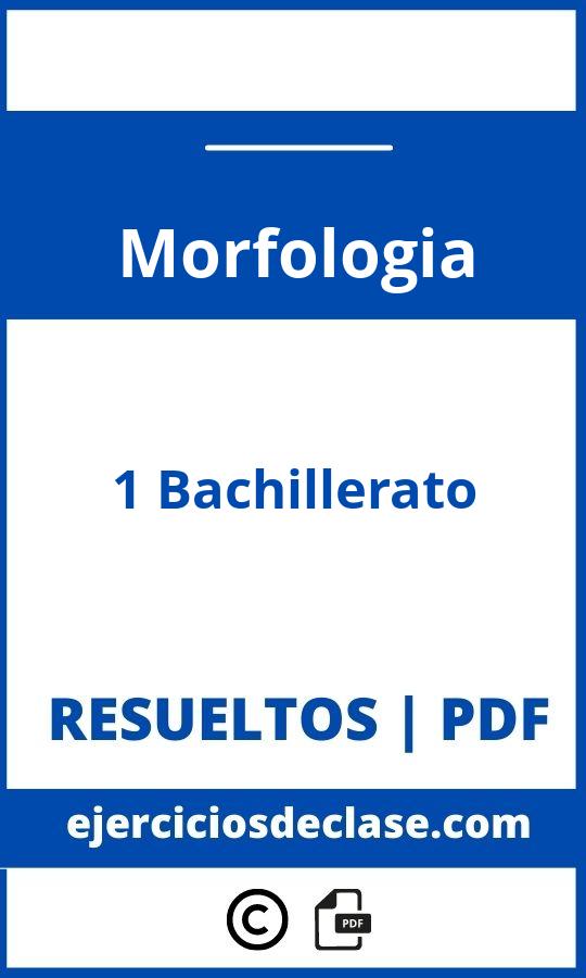 Ejercicios Morfologia 1O Bachillerato Pdf
