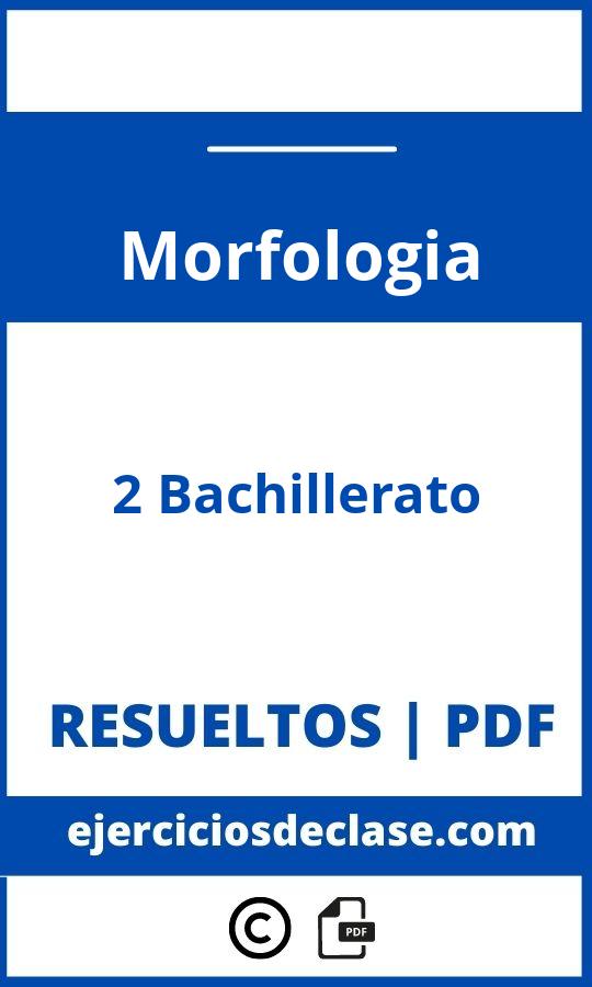 Ejercicios Morfologia 2O Bachillerato Pdf
