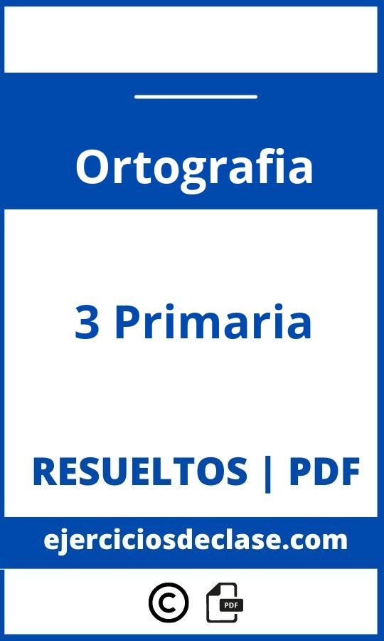Ejercicios Ortografia 3O Primaria Pdf