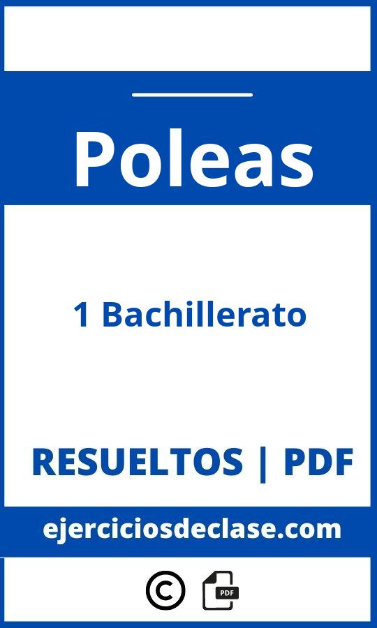 Ejercicios Poleas 1 Bachillerato Pdf