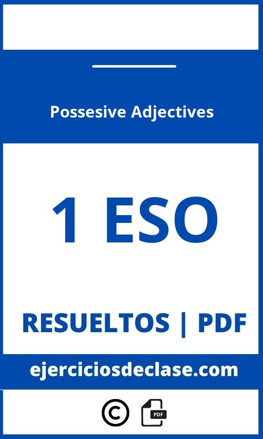 Ejercicios Possesive Adjectives 1 Eso Pdf