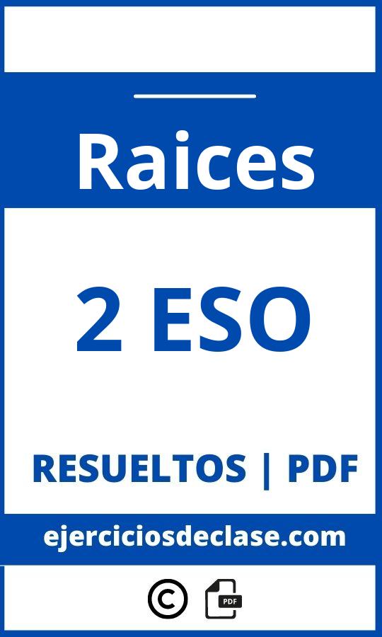 Ejercicios Raices 2O Eso Pdf