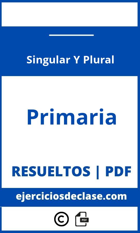 Ejercicios Singular Y Plural Primaria Pdf