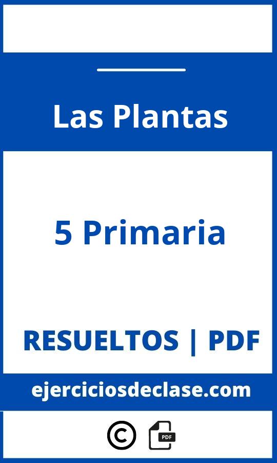 Las Plantas 5O Primaria Ejercicios Pdf